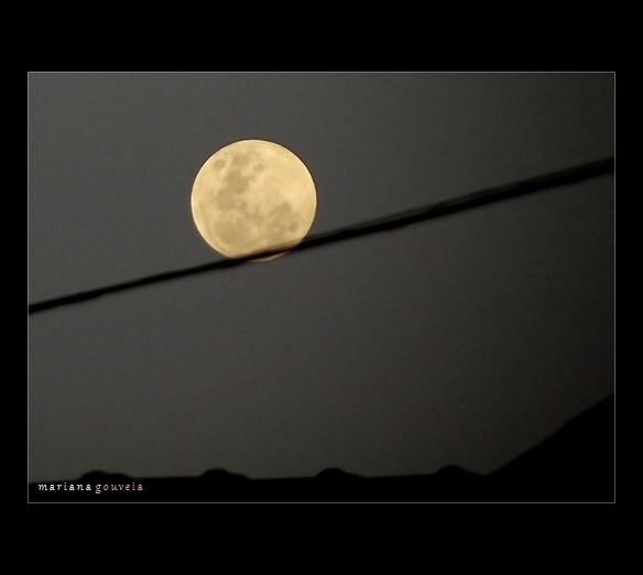 Escreverei teu nome nas noites de lua