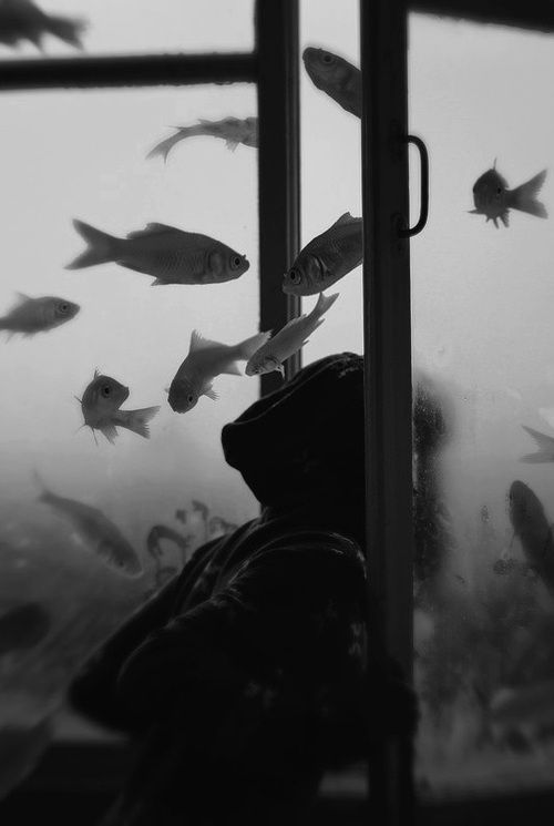 quando-o-mar-invadiu