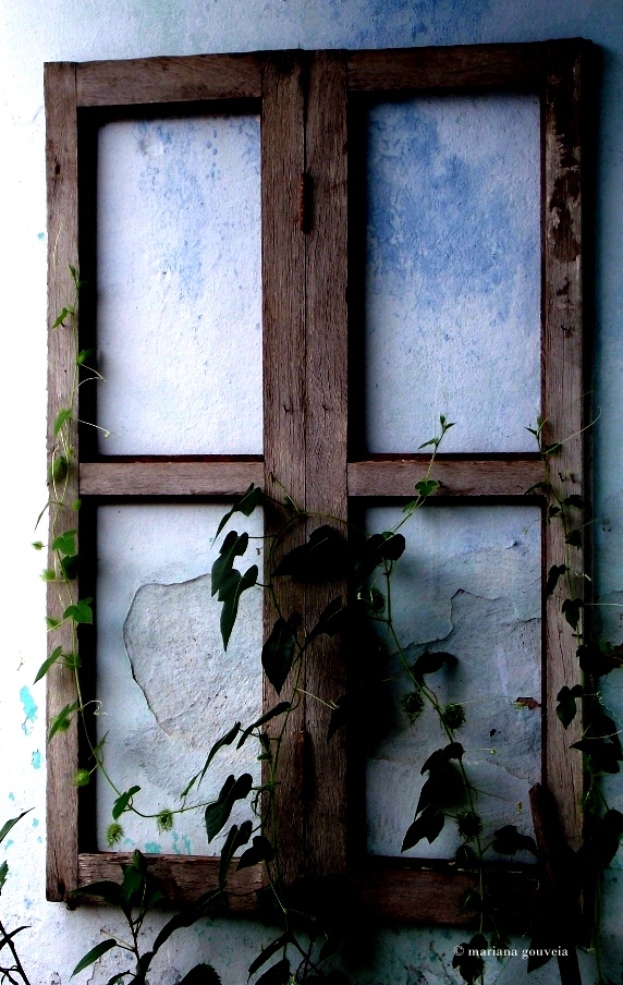 DSCF8503.JPG