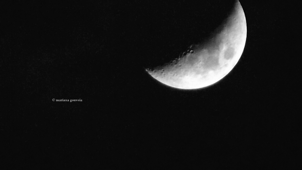 DSCF2591.JPG