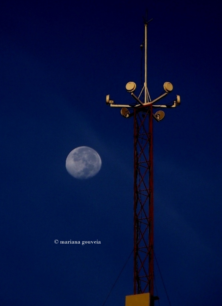 DSCF5821.JPG