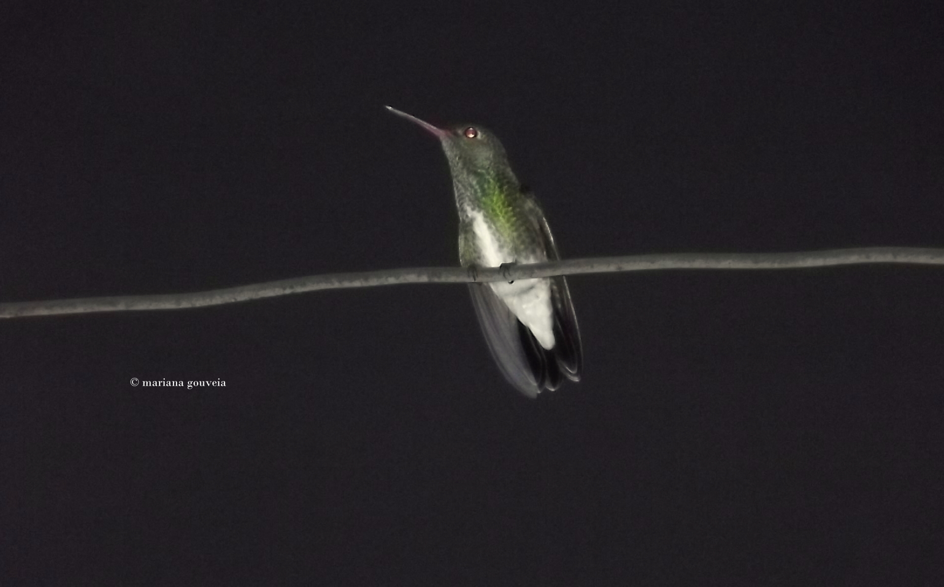 DSCF7058.JPG