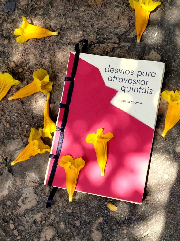 A caligrafia do encerramento: quando a última linha encontra repouso entre as sementes do chão.